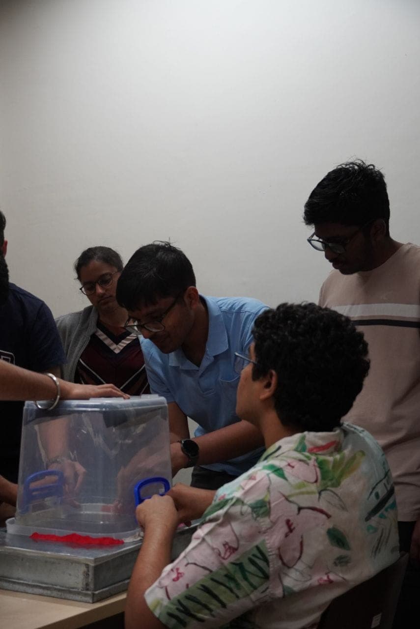 Students observing cloud chamber particle tracks